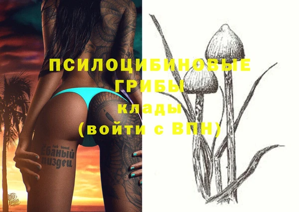 гидропоника Верея