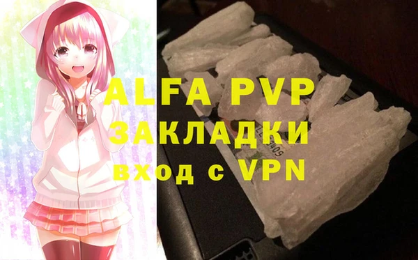 индика Сатка