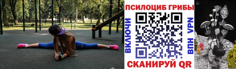 Псилоцибиновые грибы мухоморы  shop телеграм  Камень-на-Оби  сколько стоит 